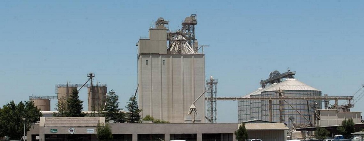 AGRICULTURE AND FEED INDUSTRY 